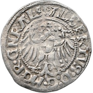 Teutonic Order, Albrecht Hohenzollern, penny 1515, Königsberg