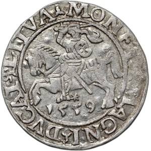 Sigismund II Augustus, half-penny 1559, Vilnius, L/LITVA