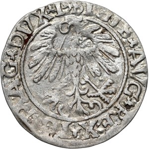Sigismund II Augustus, half-penny 1559, Vilnius, L/LITVA