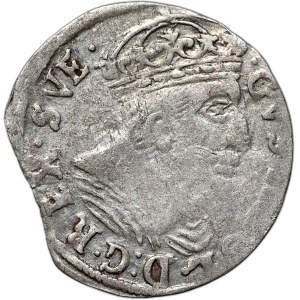 Gustav II Adolf, 1629 penny, Elbląg