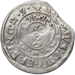 Gustav II Adolf, 1629 penny, Elbląg