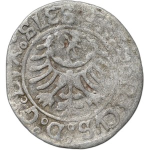 Slezsko, knížectví legnicko-brzesko-wołowské, Fridrich II., Grosz, Legnica