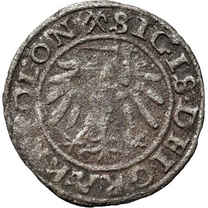 Zygmunt I the Old, 1540 shekel, Gdansk, Poland
