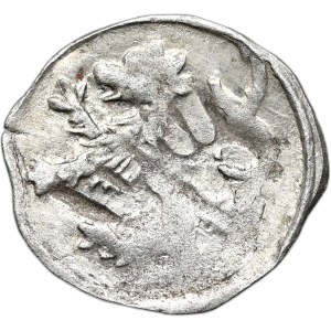 Silesia, Klodzko, George of Podebrad, Halerz without date, beautiful and rare