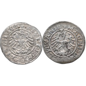 Sigismund der Alte Satz von 2 Vilnius-Halbpfennigen, 'ohne Datum' und 'mit Fehler' 15Z.1