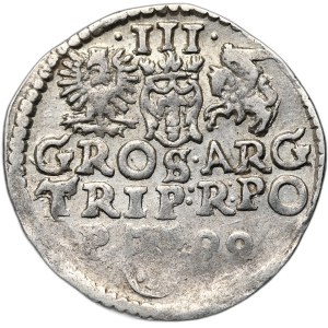 Sigismund III. Wasa, Trojak 1599, Poznań