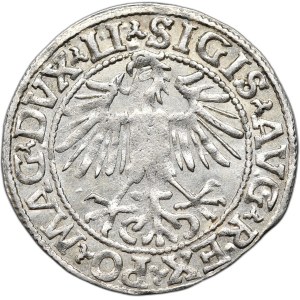 Sigismund II Augustus, Half-penny 1548, Vilnius - LI/LITVA, Arabic one in the date