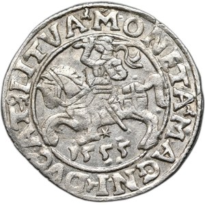 Sigismund II Augustus, half-penny 1555, Vilnius, LI/LITVA