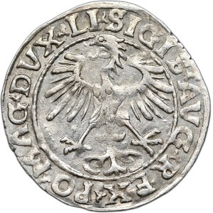 Sigismund II Augustus, half-penny 1555, Vilnius, LI/LITVA