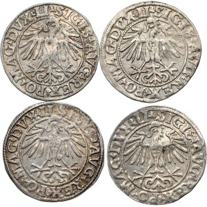 Set of 4 Vilnius half-pennies 1548-1550