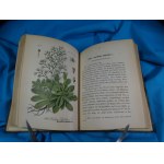 Flora von Deutschland Bd. 26 Crassulaceae Saxifrageae Cornaceae Schlechtendal Langethal Schenk