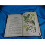 Flora von Deutschland Bd. 26 Crassulaceae Saxifrageae Cornaceae Schlechtendal Langethal Schenk