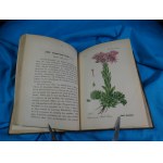 Flora von Deutschland Bd. 26 Crassulaceae Saxifrageae Cornaceae Schlechtendal Langethal Schenk