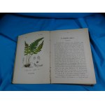 Flora von Deutschland Gefäss - Kryptogamen / Schlechtendal Langethal Schenk