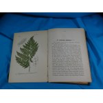 Flora von Deutschland Gefäss - Kryptogamen / Schlechtendal Langethal Schenk