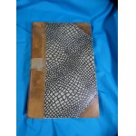 Synopsis der Mitteleuropäischen Flora Ascherson Graebner Synopsis der Mitteleuropäischen Flora. Hauptregister 1 (register-Bände 1, 2.1, 2.2, 3) der Embryophyta zoidiogamae (Cryptogamae), Gymnospermae und Monocotyledones / von Paul Ascheron und Paul Graebn