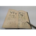Carl Sigismund Kunth Enumeratio Plantarum 1833