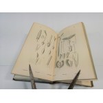 Carl Sigismund Kunth Enumeratio Plantarum 1833