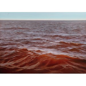 Mariusz Maksel (ur. 1981), Inflow - Horizon, 2025
