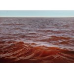 Mariusz Maksel (ur. 1981), Inflow - Horizon, 2025