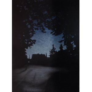 Olga Pawlowska (b. 1988), Urban Nocturne, 2017