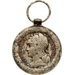 China Tonkin Medal ND