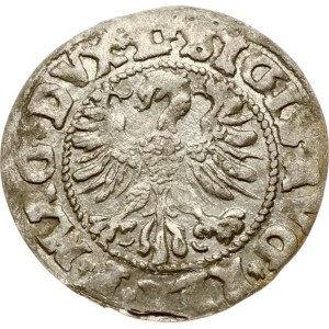 Lithuania Polgrosz 1546 Vilnius M^GNI (RRR)