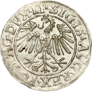 Lithuania Polgrosz 1547 Vilnius Arabic numeral 1