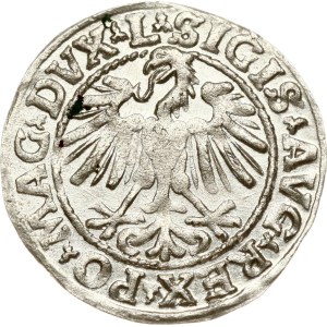 Lithuania Polgrosz 1548 Vilnius
