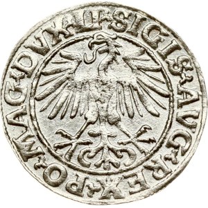 Lithuania Polgrosz 1549 Vilnius