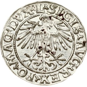 Lithuania Polgrosz 1549 Vilnius
