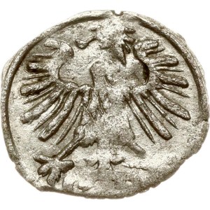 Lithuania Denar 1556 Vilnius (R2)