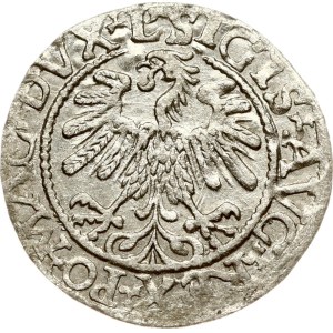 Lithuania Polgrosz 1559 Vilnius