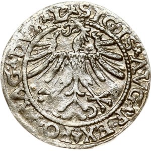 Lithuania Polgrosz 1563 Vilnius