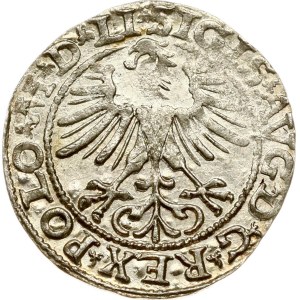 Lithuania Polgrosz 1564 Vilnius