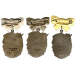 Russia USSR Order of Maternal Glory I - III class Set of 3 pcs