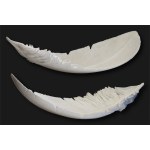 Michal Jackowski (born 1978), Feather