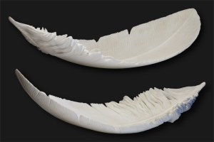 Michał Jackowski (ur. 1978), Feather