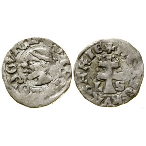 Poľsko, denár, (1358-1366)