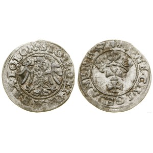 Pologne, sheląg, 1547, Gdansk