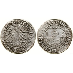 Polen, Pfennig, 1533, Elbląg