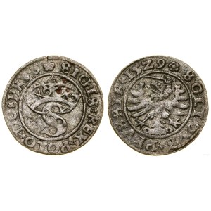 Polska, szeląg, 1529, Toruń