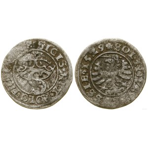 Pologne, sheląg, 1529, Toruń