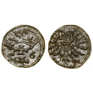 Poland, denarius, 1556, Gdansk