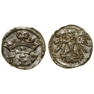 Pologne, denier, 1557, Gdansk