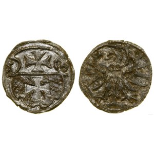Poland, denarius, 1556, Elbląg