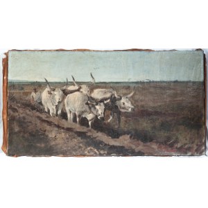 Plow with oxen early 20th century