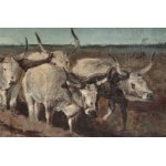 Plow with oxen early 20th century