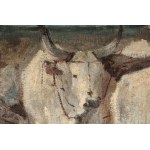 Plow with oxen early 20th century