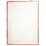 Lady in Orange second half of the 20th century